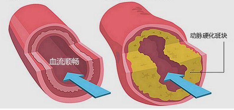 健康证办理电话